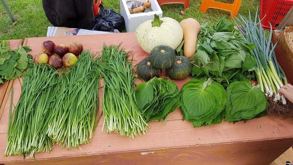 101회 자연그대로 농민장터