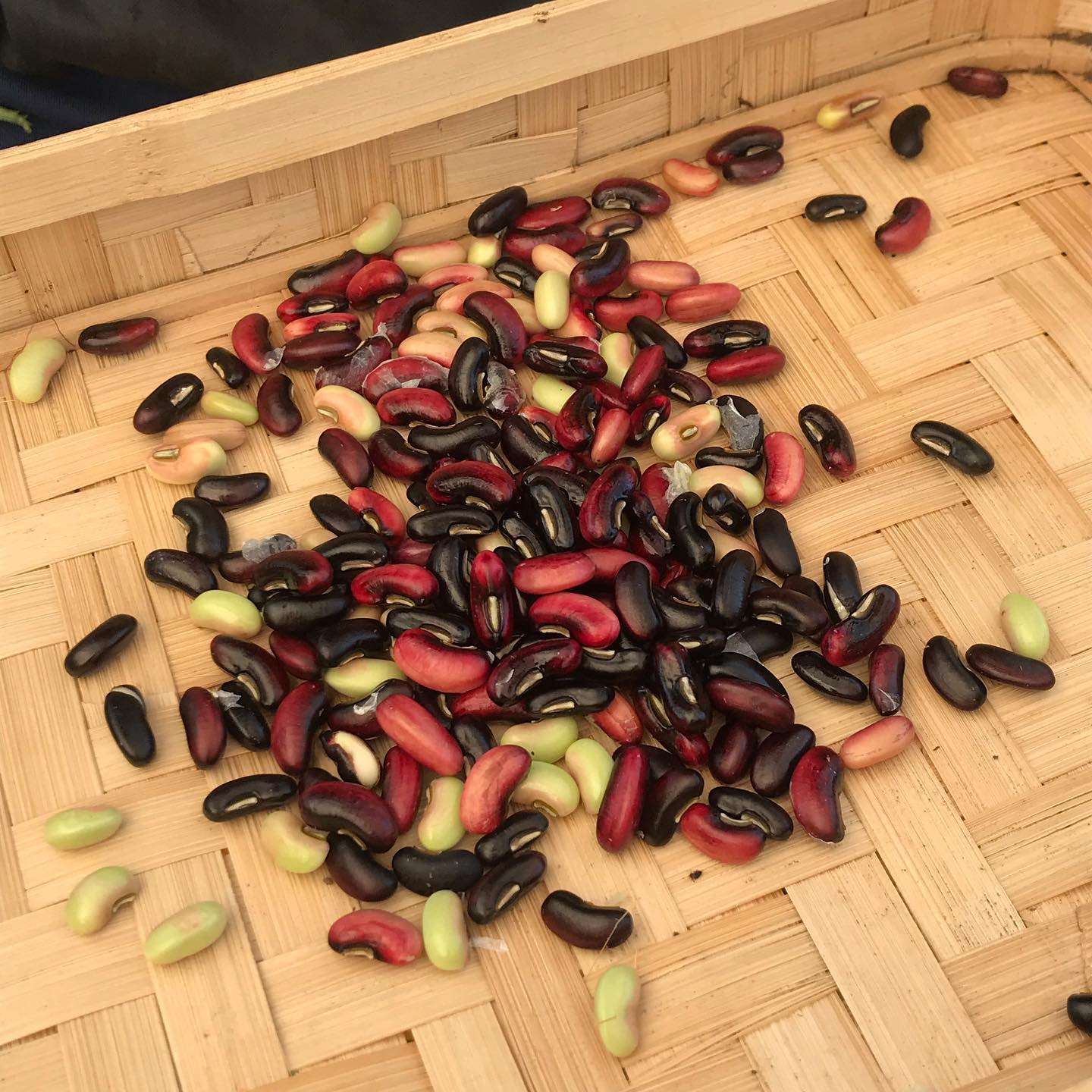 104회 자연그대로 농민장터