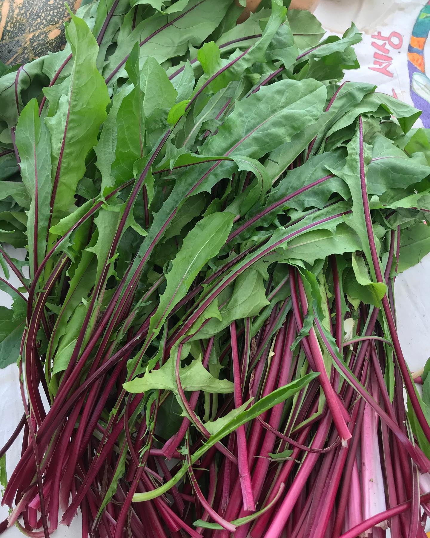 108회 자연그대로 농민장터