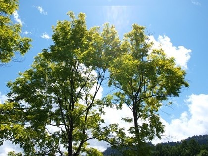 112회 자연그대로 농민장터