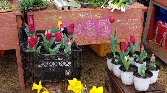 117회 자연그대로 농민장터