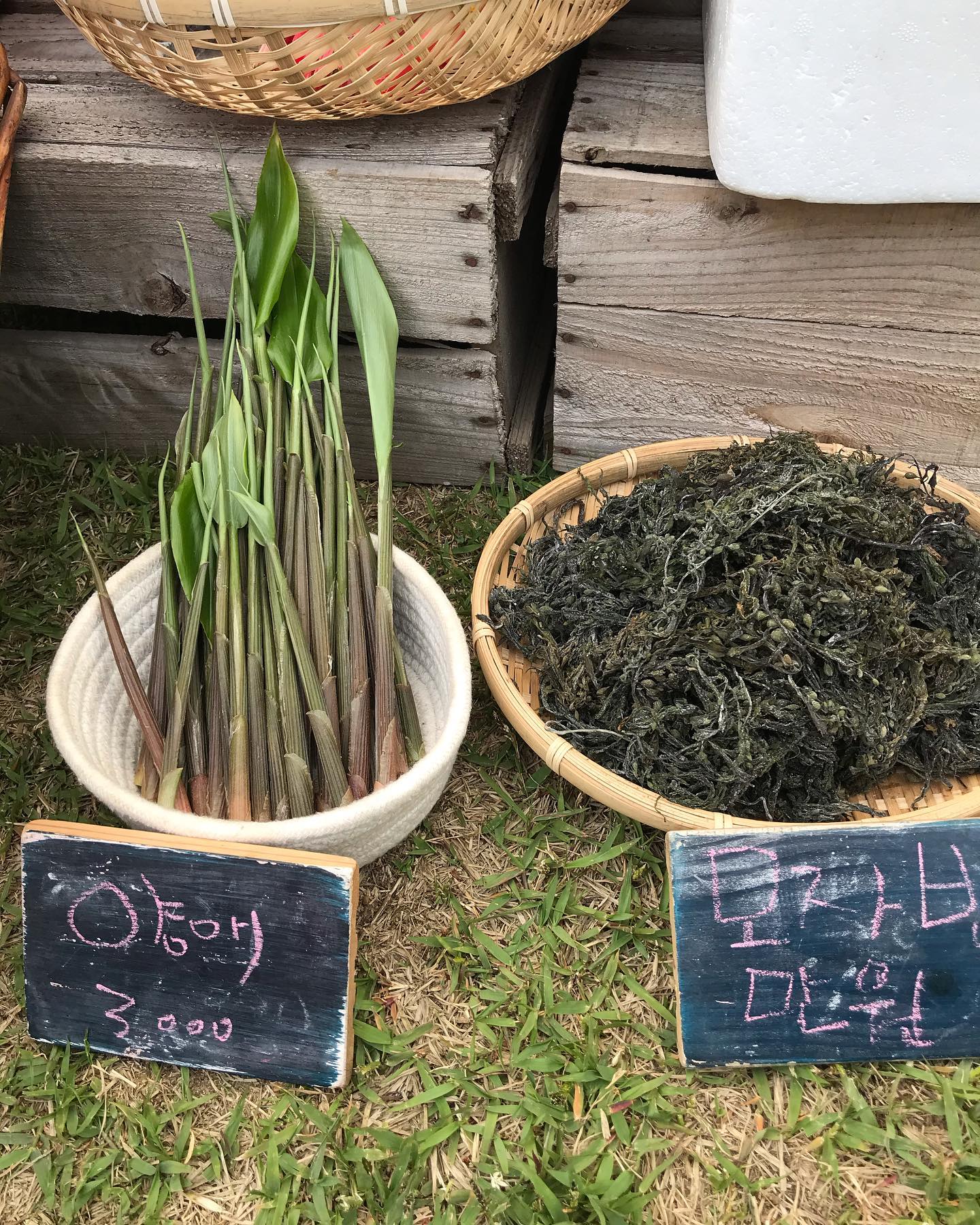 121회 자연그대로 농민장터