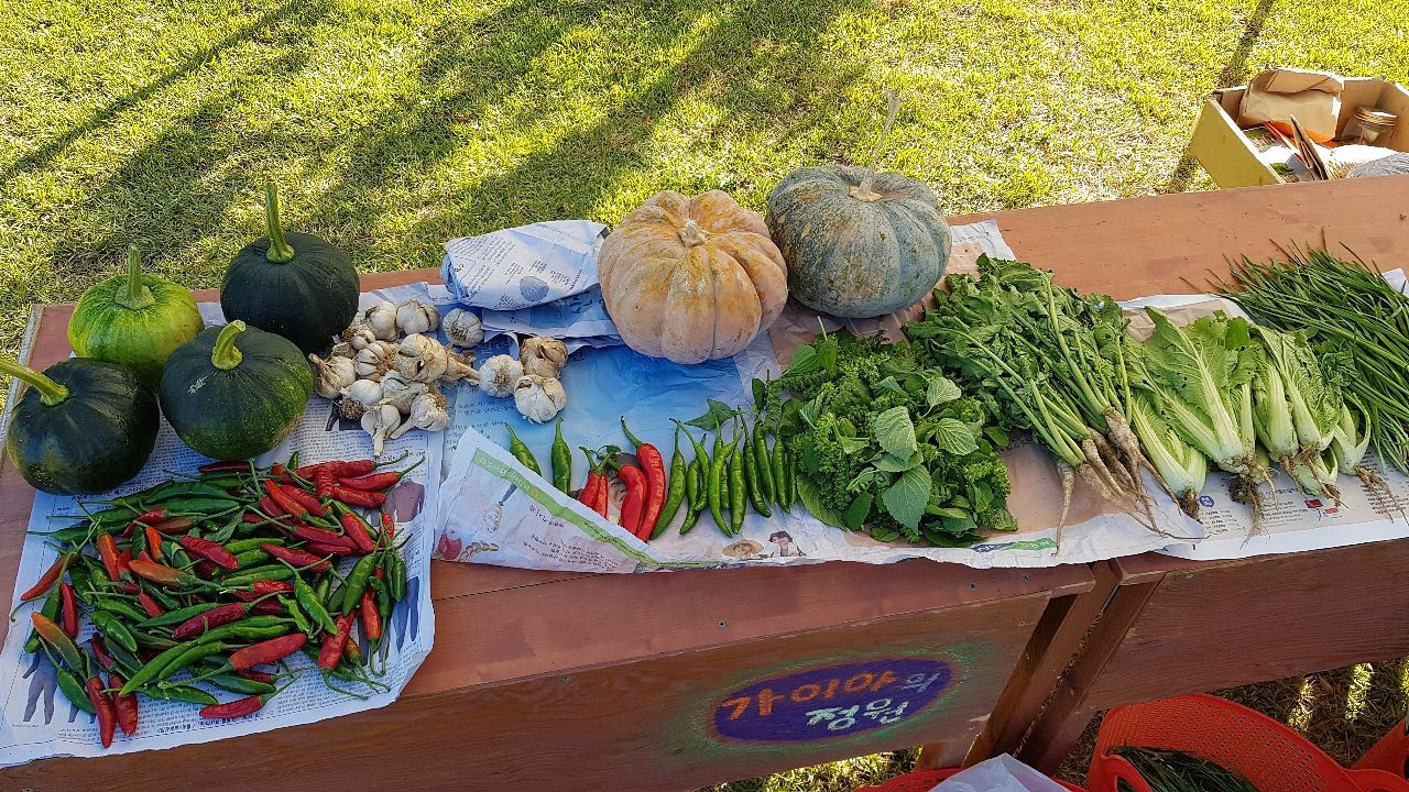 142회 자연그대로 농민장터