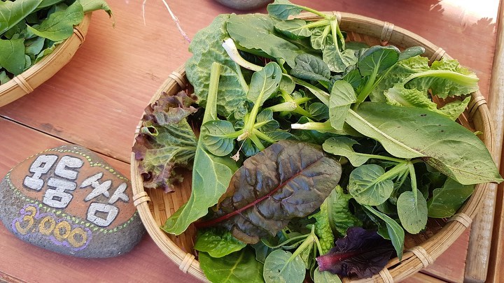 149회 자연그대로 농민장터