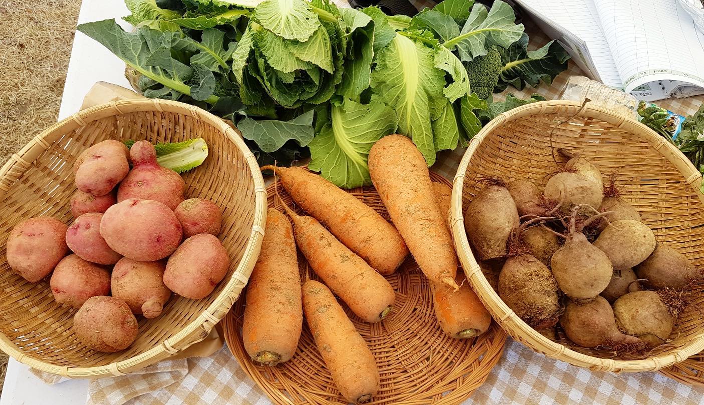 151회 자연그대로 농민장터