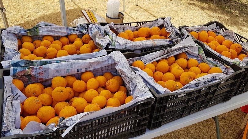 152회 자연그대로 농민장터