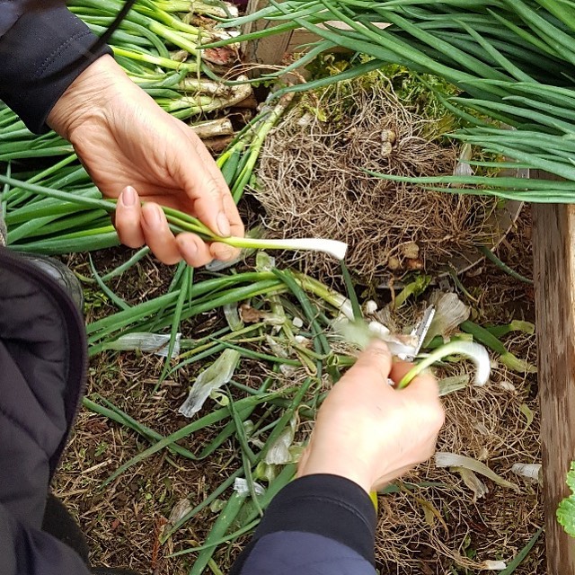 155회 자연그대로 농민장터