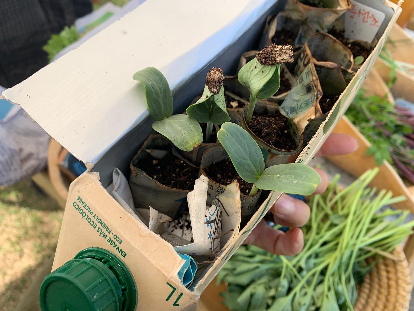 158회 자연그대로 농민장터