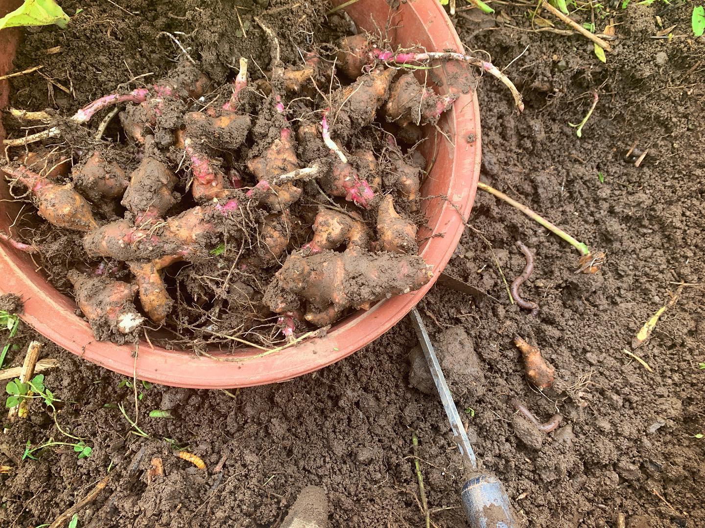 159회 자연그대로 농민장터