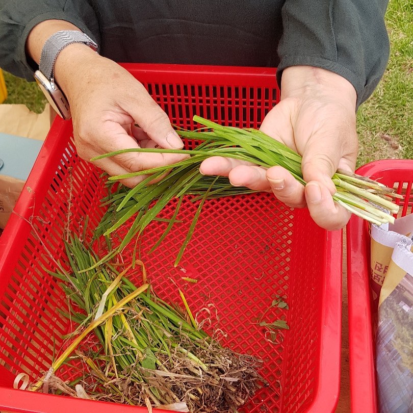 166회 자연그대로 농민장터
