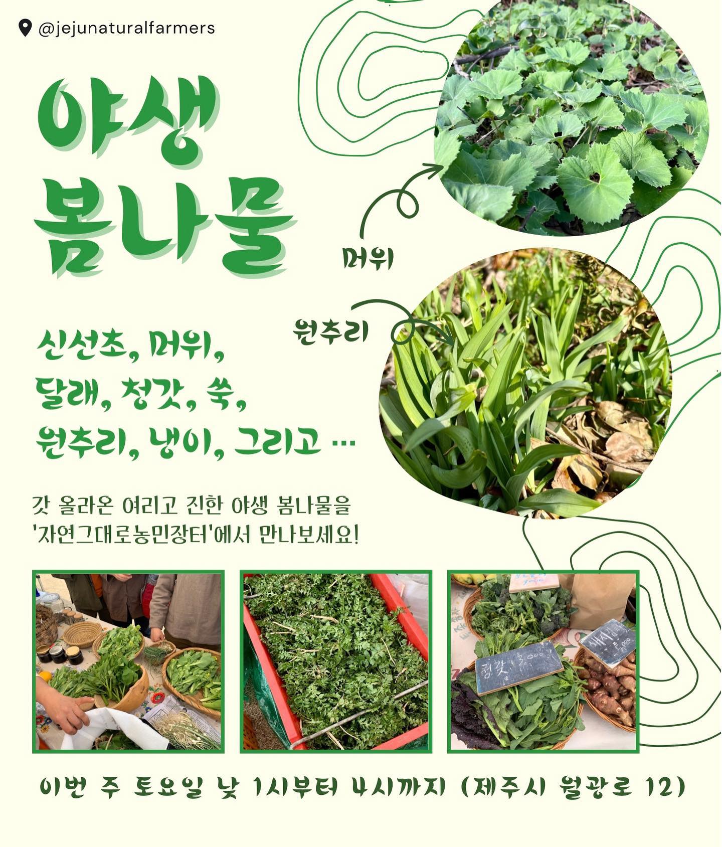 199회 자연그대로 농민장터