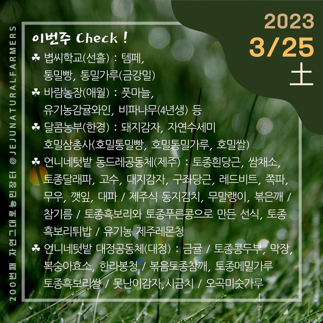 현장사진 11