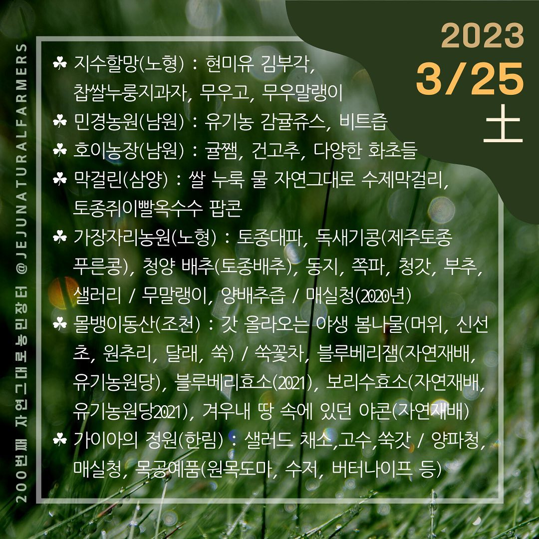 현장사진 12