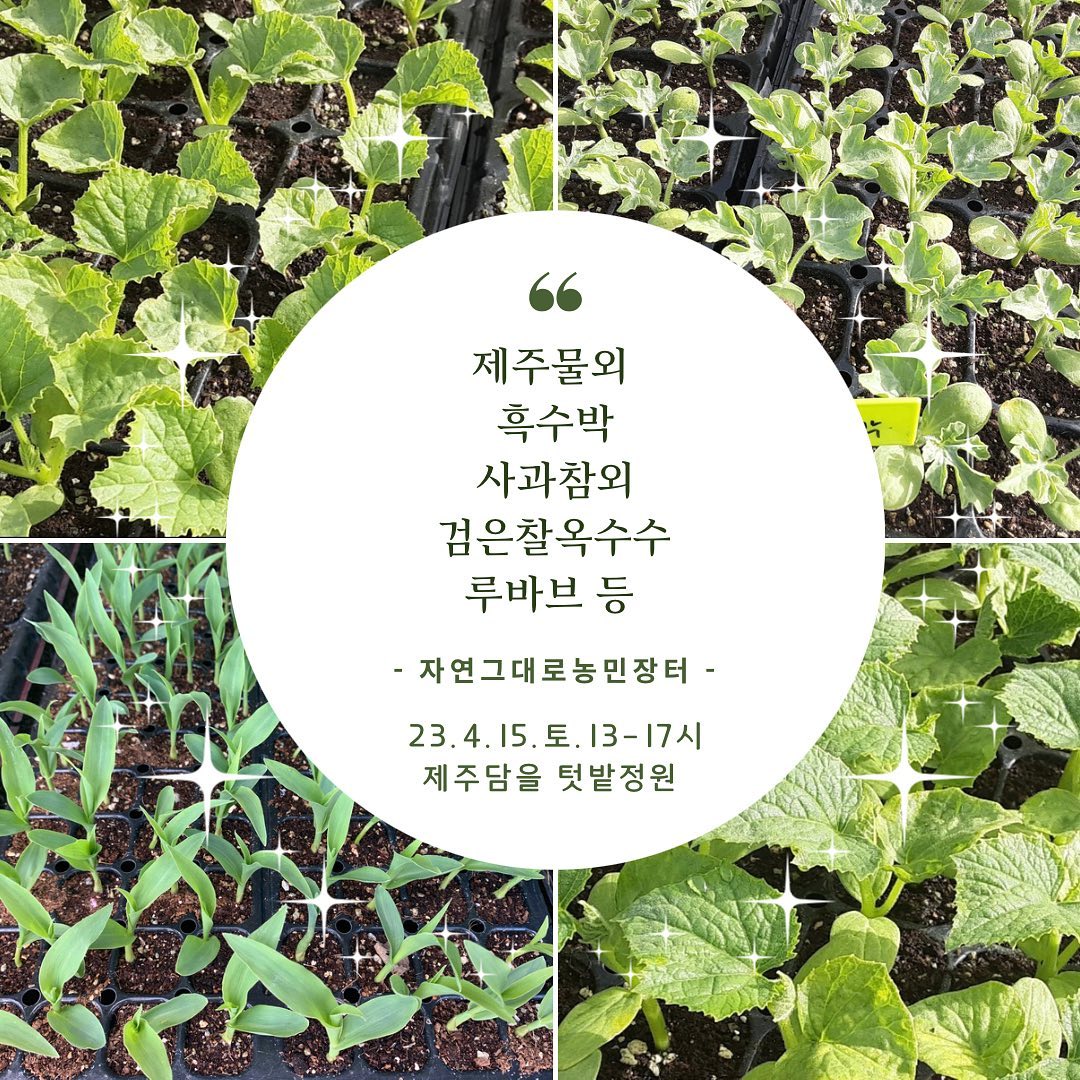 203회 자연그대로 농민장터