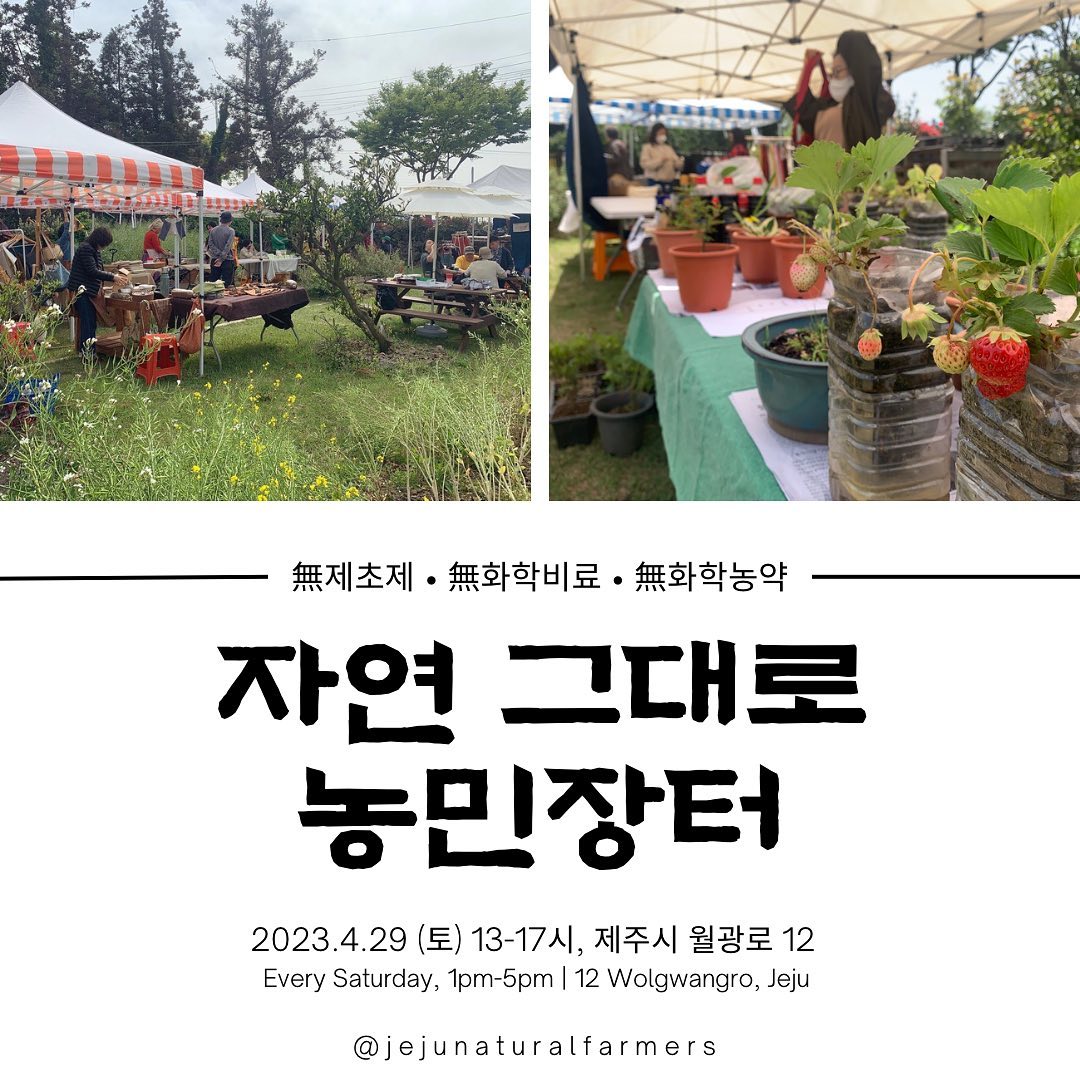 205회 자연그대로 농민장터