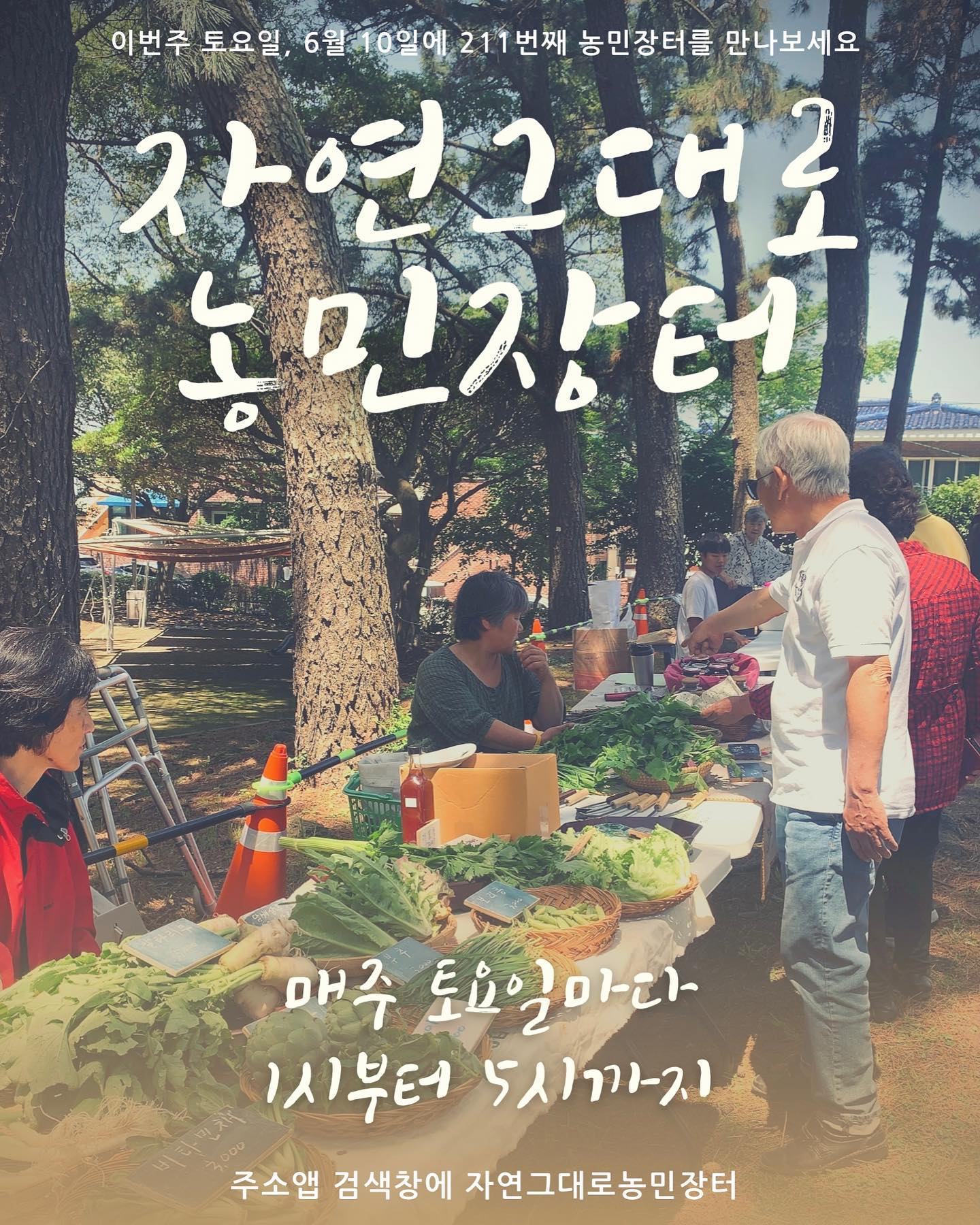 211회 자연그대로 농민장터