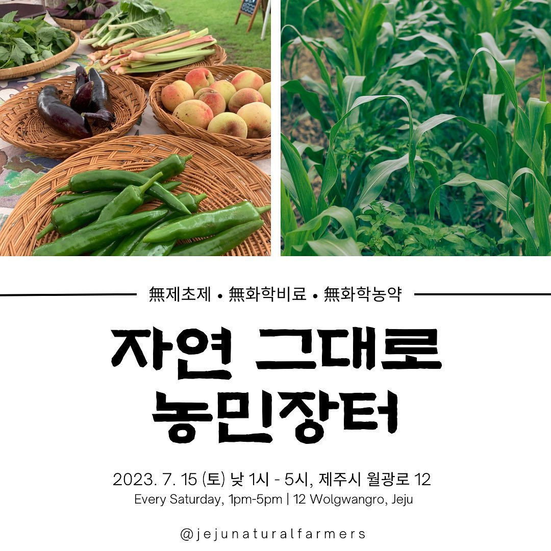 216회 자연그대로 농민장터