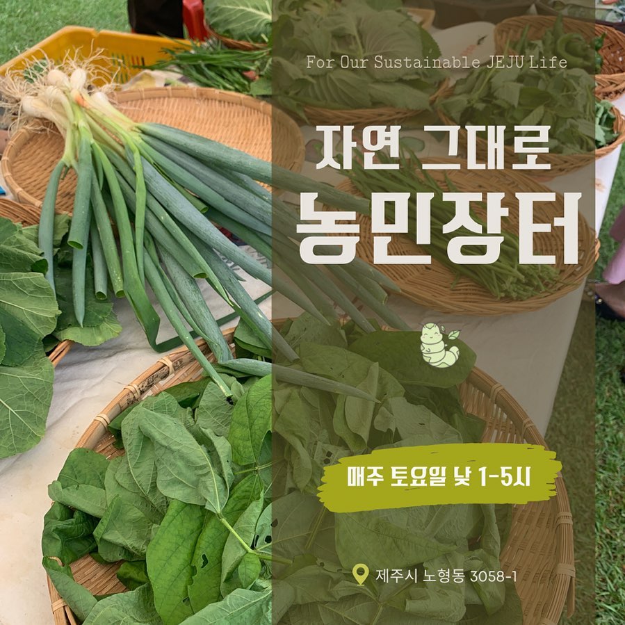 219회 자연그대로 농민장터