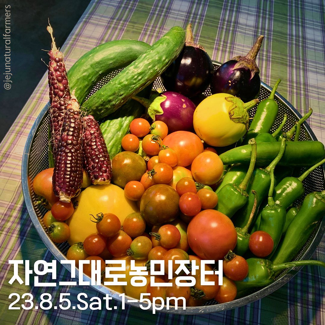 220회 자연그대로 농민장터