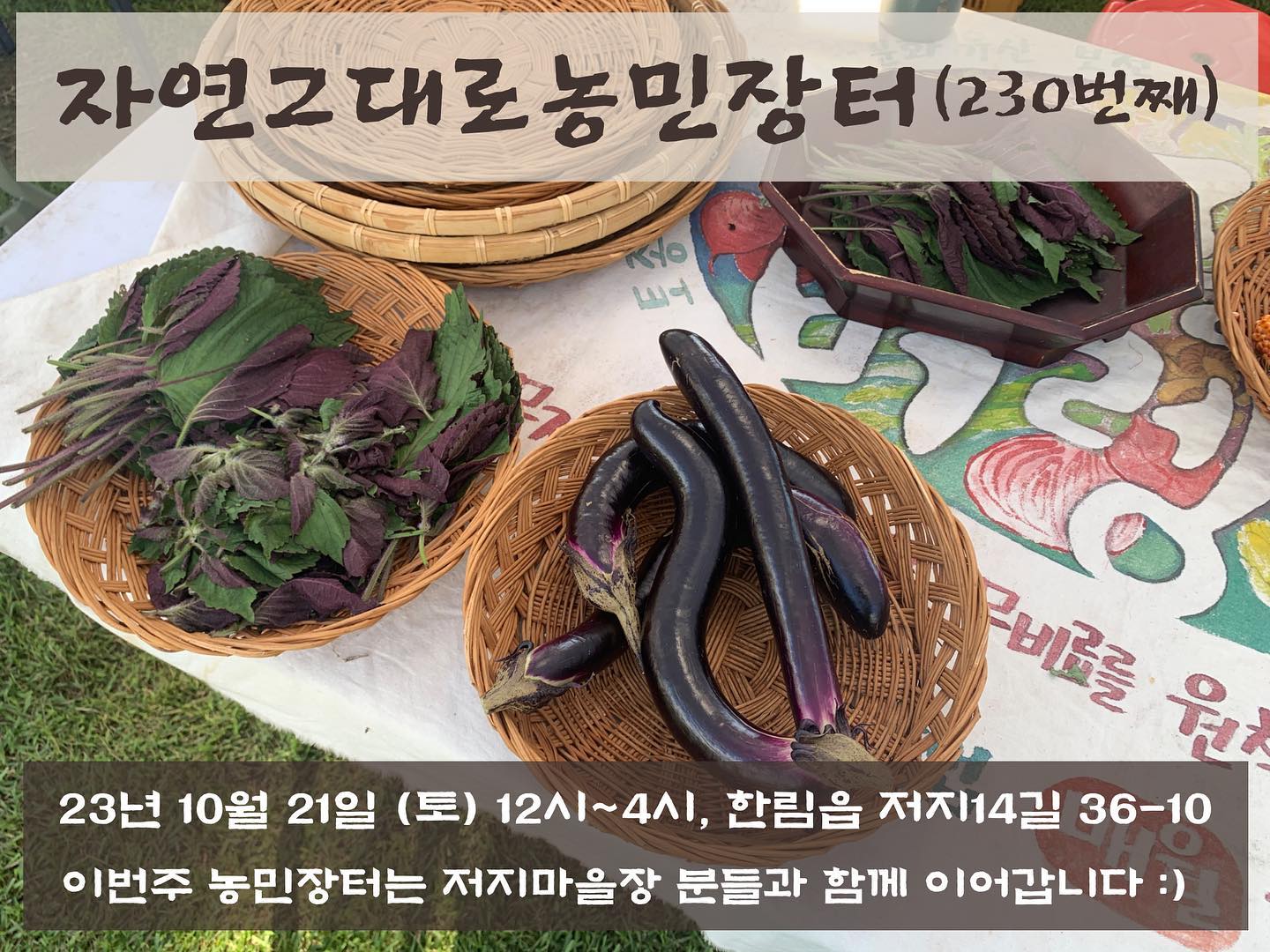 230회 자연그대로 농민장터