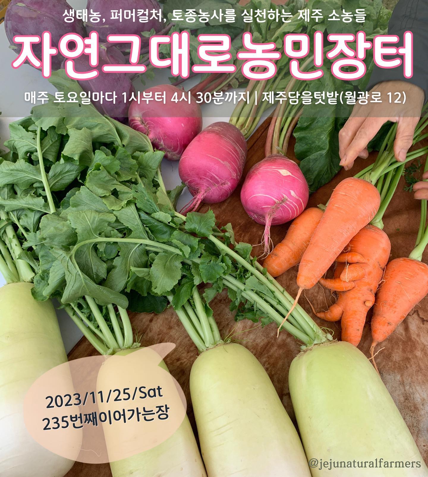 235회 자연그대로 농민장터