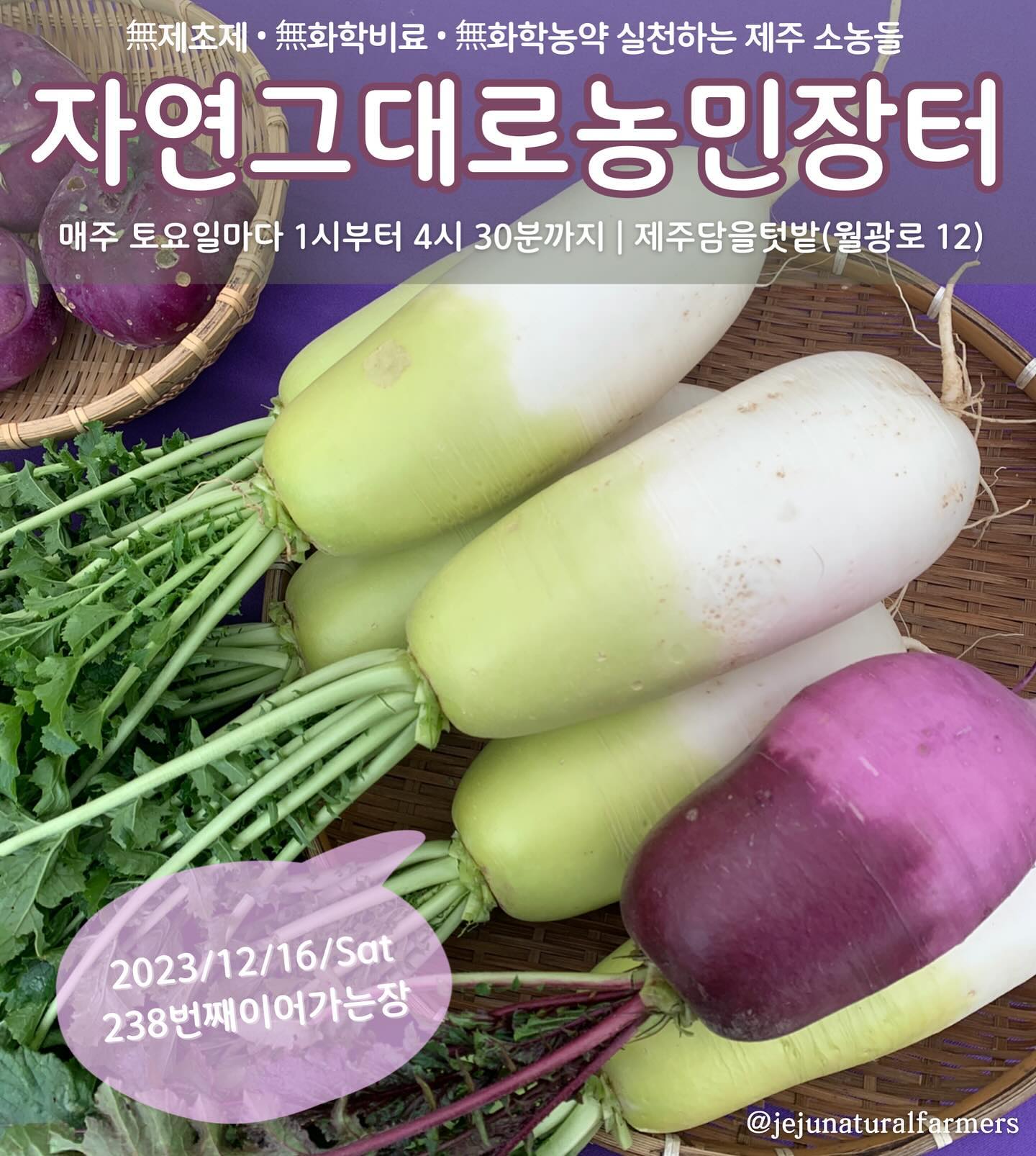 238회 자연그대로 농민장터