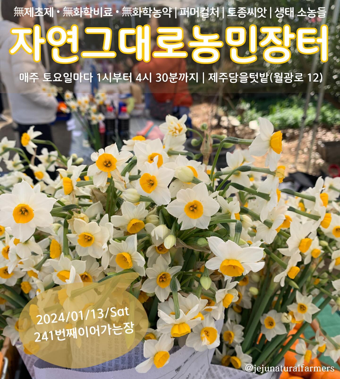 241회 자연그대로 농민장터