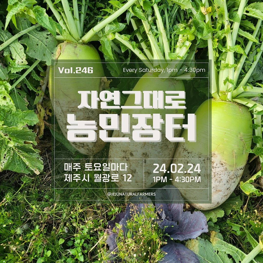 246회 자연그대로 농민장터