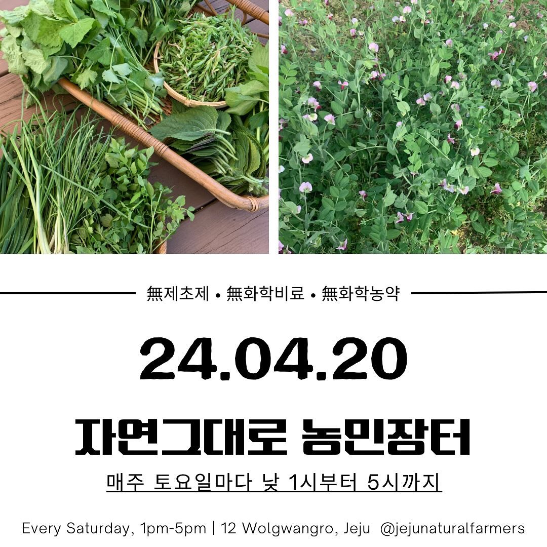 254회 자연그대로 농민장터